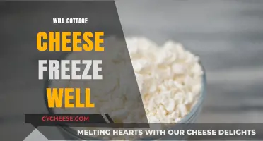 Can Cottage Cheese Be Frozen? Tips for Preserving Its Texture