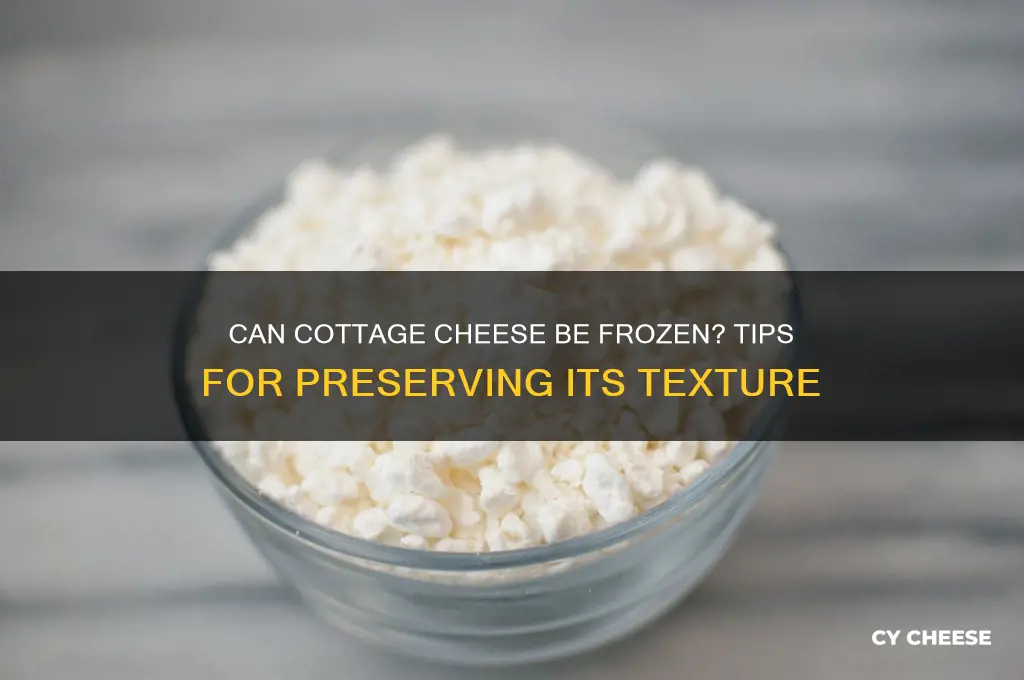 will cottage cheese freeze well