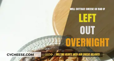 Cottage Cheese Left Out Overnight: Safe or Spoiled?