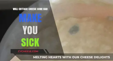 Can Spoiled Cottage Cheese Cause Illness? Risks and Symptoms Explained