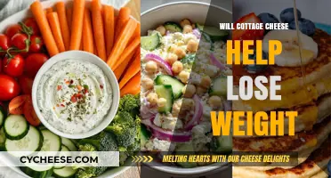 Cottage Cheese for Weight Loss: Fact or Fiction?