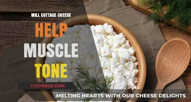 Cottage Cheese and Muscle Tone: Unlocking Lean Physique Benefits