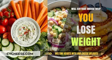 Cottage Cheese for Weight Loss: Fact or Fiction?