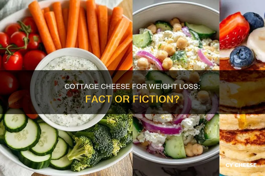 will cottage cheese help you lose weight