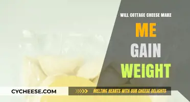 Cottage Cheese and Weight Gain: Fact or Fiction?