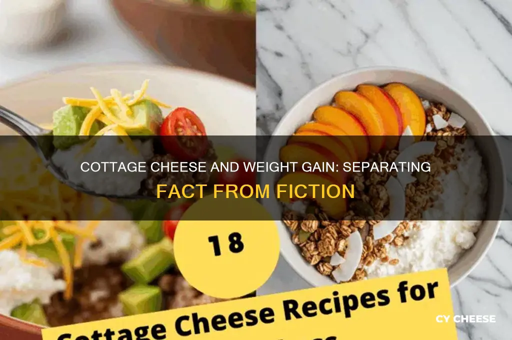 will cottage cheese make you fat