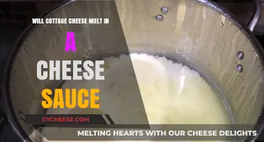 Does Cottage Cheese Melt? Creating Smooth Cheese Sauce with Cottage Cheese