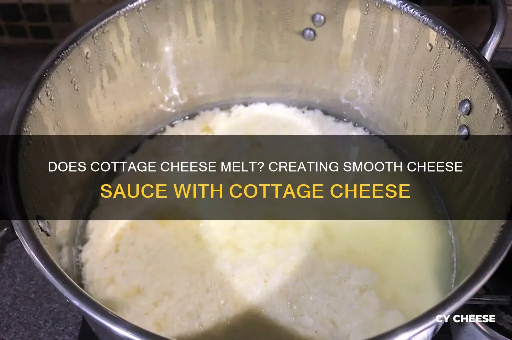 will cottage cheese melt in a cheese sauce