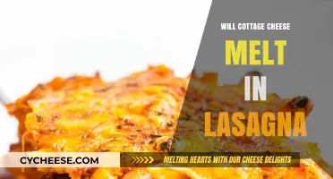 Does Cottage Cheese Melt in Lasagna? A Cheesy Debate Explored