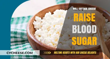 Does Cottage Cheese Spike Blood Sugar? A Diabetes-Friendly Snack Guide