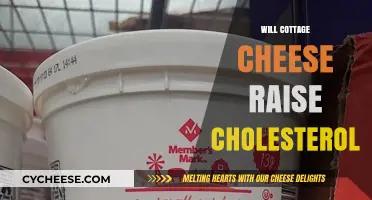 Cottage Cheese and Cholesterol: Debunking Myths for a Healthy Diet