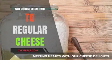 Can Cottage Cheese Transform into Regular Cheese? Exploring the Process