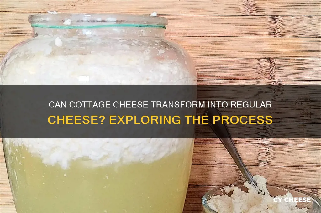 will cottage cheese turn to regular cheese