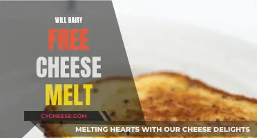 Dairy-Free Cheese: Melting Mystery Solved!