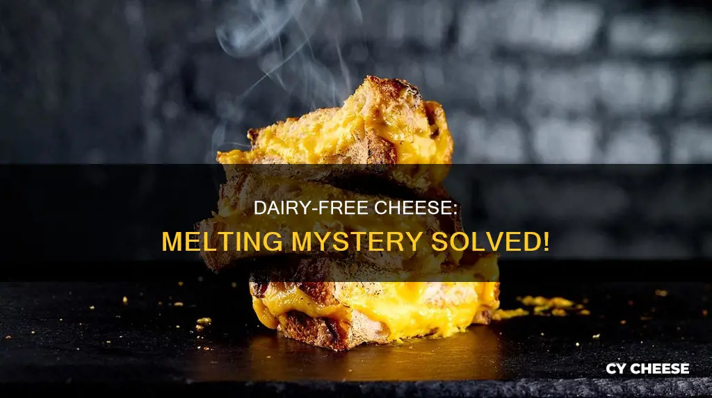 will dairy free cheese melt