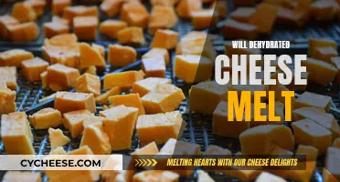 Dehydrated Cheese: Melting Mystery Solved