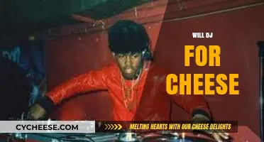 Cheesy Beats: DJing for Dairy Delights and Musical Magic