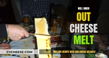 Cheese Revival: Melting Dried-Out Cheese