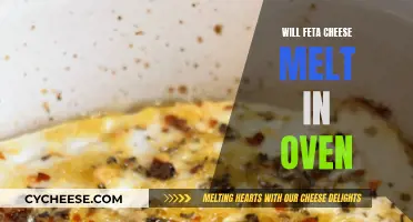 Feta Cheese Melting in the Oven: What to Expect