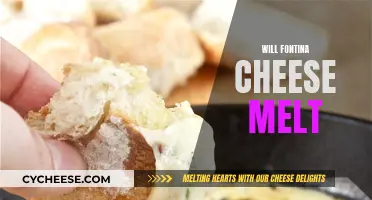 Cheesy Goodness: Does Fontina Cheese Melt?