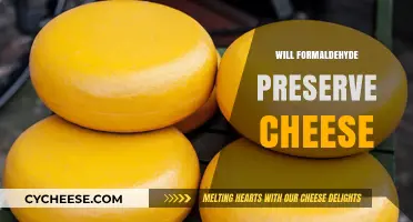 Can Formaldehyde Safely Preserve Cheese? Exploring Preservation Methods