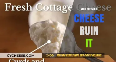 Does Freezing Cheese Affect Its Taste and Texture? Find Out Here
