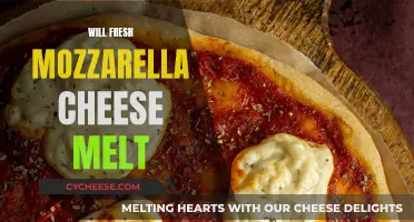 Mozzarella Melting: The Science Behind Fresh Mozzarella Cheese