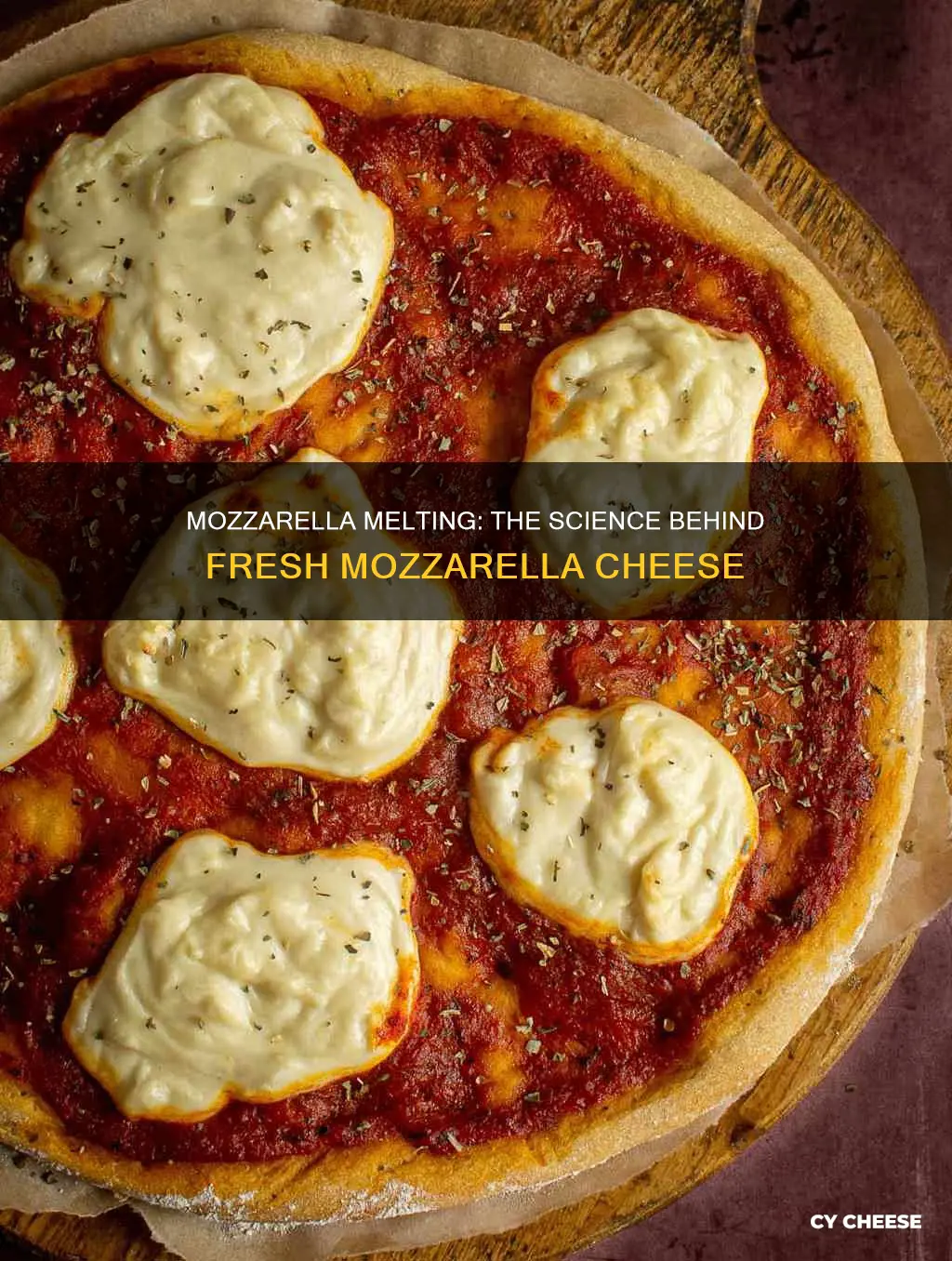 will fresh mozzarella cheese melt