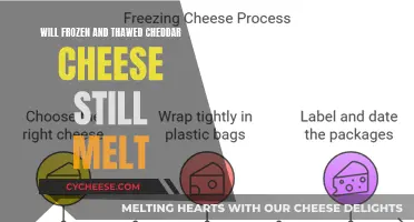 Can Frozen Cheddar Melt? The Thawing Mystery