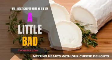 Goat Cheese Gone Wrong: Navigating the Risks of Bad Cheese