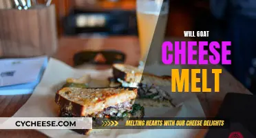 Goat Cheese Melting: What You Need to Know