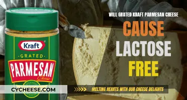 Lactose Intolerance and Kraft Parmesan Cheese: Safe to Eat?