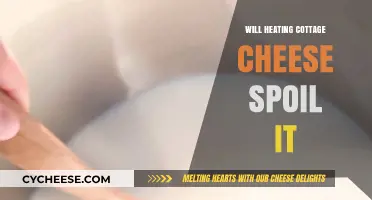 Heating Cottage Cheese: Does It Spoil or Stay Safe to Eat?