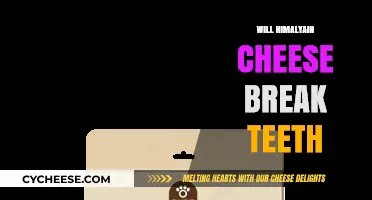 Can Himalayan Cheese Damage Your Teeth? Facts and Myths Explained