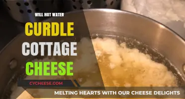 Does Hot Water Curdle Cottage Cheese? Facts and Tips Revealed