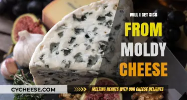 Moldy Cheese: Is It Safe to Eat?
