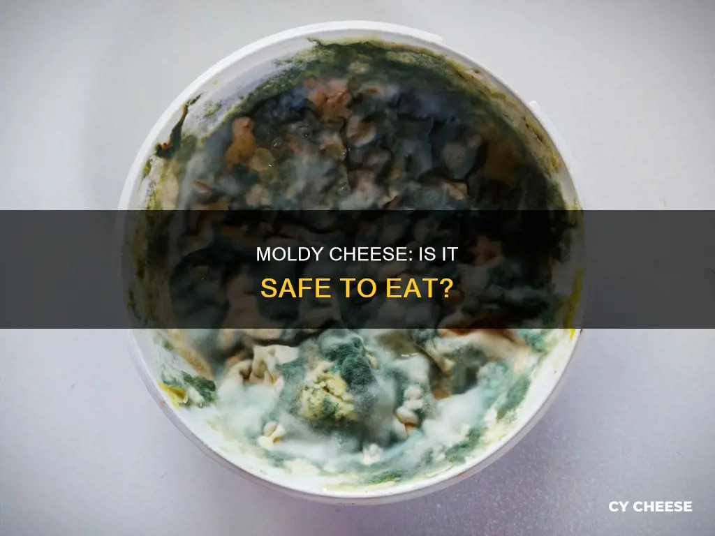 will i get sick from moldy cheese