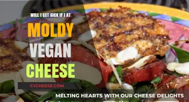 Moldy Vegan Cheese: Safe or Sickness?