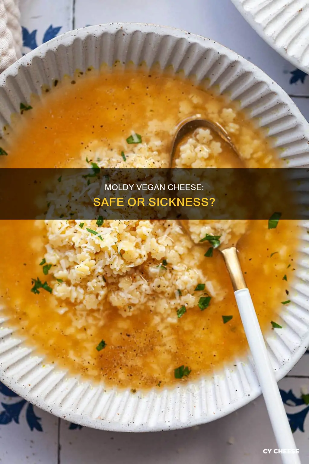 will i get sick if i at moldy vegan cheese