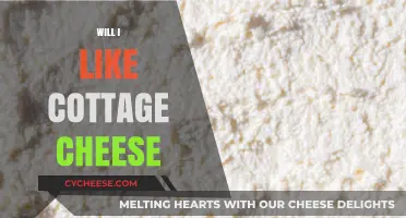 Cottage Cheese Curiosity: Will You Love Its Unique Texture and Taste?
