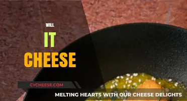Will It Cheese? Creative Ways to Add Cheese to Any Dish