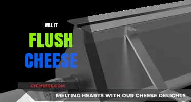 Can Cheese Go Down the Drain? Flushing Dairy Do's and Don'ts