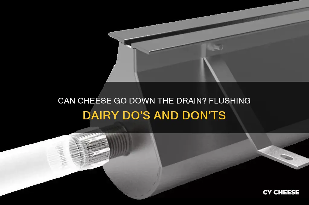 will it flush cheese