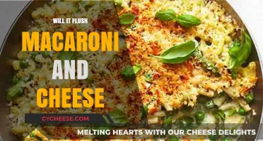 The Great Mac and Cheese Flush Experiment