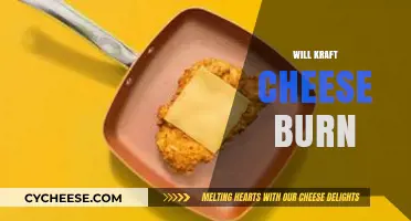 Does Kraft Cheese Burn? Tips for Melting Cheese Perfectly