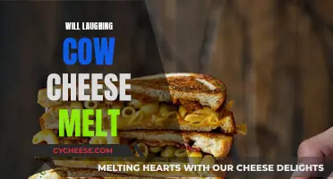Does Laughing Cow Cheese Melt?