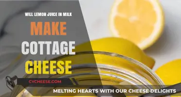 Can Lemon Juice in Milk Create Cottage Cheese? A Simple Guide