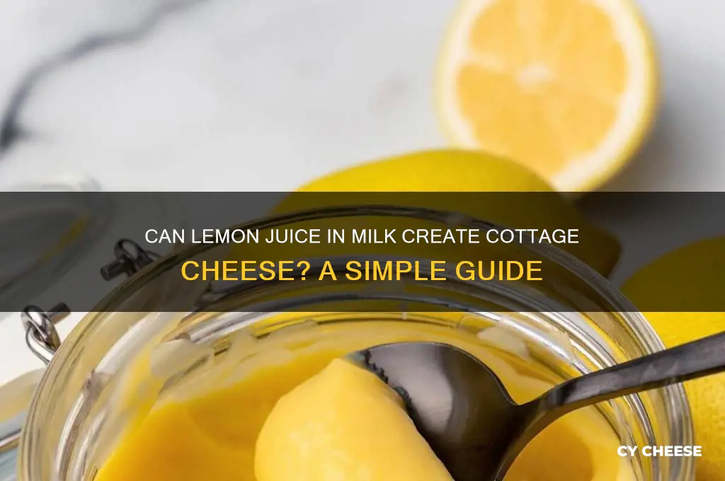 will lemon juice in milk make cottage cheese