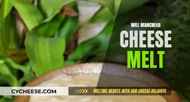 The Art of Melting Manchego Cheese