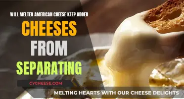 American Cheese: Keeping Added Cheeses Together